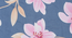 Audrey   Multicolour Floral 300 TC Cotton Blend Fitted Double Bedsheet with 4 Pillow Covers (King Size, Multi) by Urban Ladder - - 