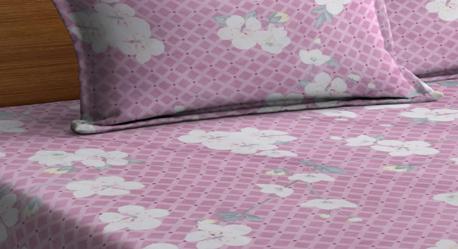 Hounds_Tooth   Multicolour Floral 300 TC Cotton Blend Fitted Double Bedsheet with 2 Pillow Covers (King Size, Multi) by Urban Ladder - - 