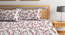Honeycomb   Multicolour Floral 300 TC Cotton Blend Fitted Double Bedsheet with 2 Pillow Covers (King Size, Multi) by Urban Ladder - Design 1 Full View - 897755