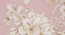 Kasia   Pink Floral 400 TC Pure Cotton Fitted Super King Double Bedsheet with 2 Pillow covers (Double Size, Multi) by Urban Ladder - - 