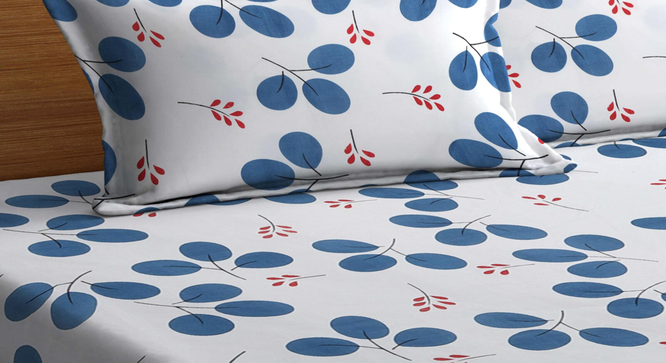 Palermo   Multicolour Floral 300 TC Cotton Blend Double Bedsheet with 2 Pillow Covers (King Size, Multi) by Urban Ladder - Design 1 Full View - 898915