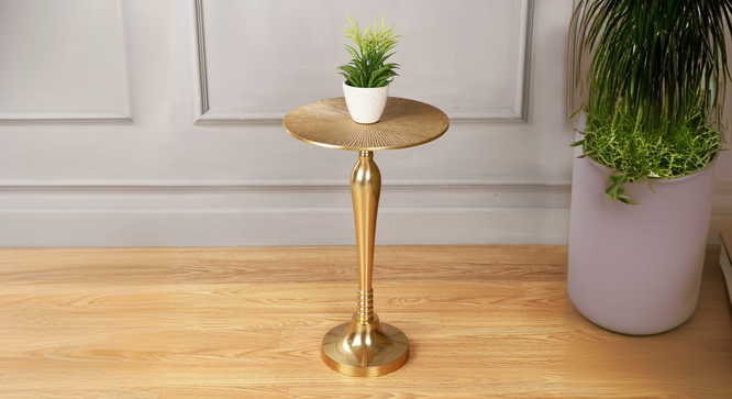 Amoga  Side Table (Polished Finish) by Urban Ladder - Front View Design 1 - 899268
