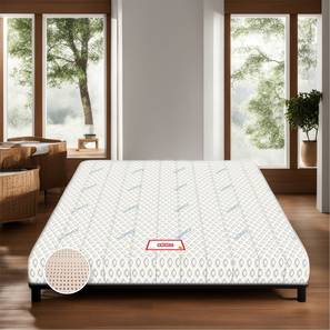 Mattresses Bedding In Junagadh Design Biolife Ltx Indonesian With Herbfresh Technology - Single (Single Mattress Type, 5 in Mattress Thickness (in Inches), 72 x 36 in Mattress Size)