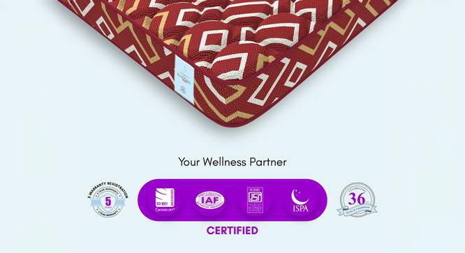 Back Support Premium Orthopedic Temperature Regulated Coir Mattress - Double Size (4 in Mattress Thickness (in Inches), Maroon, 72 x 48 in Mattress Size, Double Mattress Type) by Urban Ladder - - 