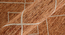 Orange Wool Vista 5X8 Feet Hand-Tufted Rug Carpet (Orange, 4 x 6 Feet Carpet Size) by Urban Ladder - - 