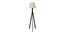 Triune Beige Jute Floor Lamp with Beige Jute Base (Brown) by Urban Ladder - - 