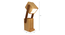 Toby Wooden  Table Lamp With Mobile Stand (Brown) by Urban Ladder - Ground View Design 1 - 907531