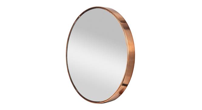 Modern Copper Stainless Mirror (Brown) by Urban Ladder - - 