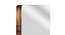 RusticCopper Stainless Wall Mirror (Gold) by Urban Ladder - - 