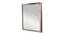 Vintage Etched Engraved Stainless Steel Wall Mirror (Brown) by Urban Ladder - - 