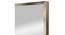 Vintage Etched Engraved Stainless Steel Wall Mirror (Brown) by Urban Ladder - - 