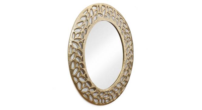 Modern Copper Stainless Mirror in gold (Gold) by Urban Ladder - - 