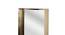 LuxeGold Steel Wall Mirror (Multi) by Urban Ladder - - 