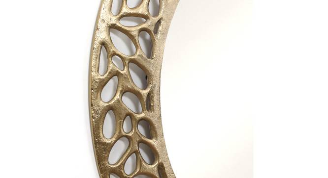 Modern Copper Stainless Mirror in gold (Gold) by Urban Ladder - - 