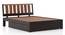 Cairo Solid Wood Storage Bed in Dual Tone Finish (Queen Bed Size, Drawer Storage Type, Dual Tone Finish) by Urban Ladder - - 