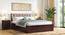 Cairo Solid Wood Hydraulic Storage Bed in Dual Tone (Queen Bed Size, Box Storage Type, Dual Tone Finish) by Urban Ladder - - 