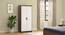 Miller 2 Door Wardrobe (Two-Tone Finish, With Mirror, Without Drawer Configuration, With Lock, 5.95 Feet Height) by Urban Ladder - Full View Design 1 - 908010