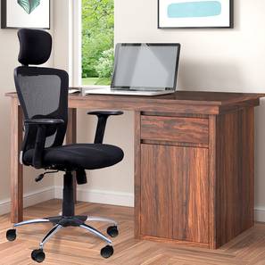 Zeus Study Chair in Black Colour-image-28