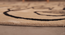 Circle Society carpet (White, 6 x 6 feet Carpet Size) by Urban Ladder - - 