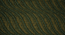 Vallamkali carpet (Green, 9 x 6 Feet Carpet Size) by Urban Ladder - - 