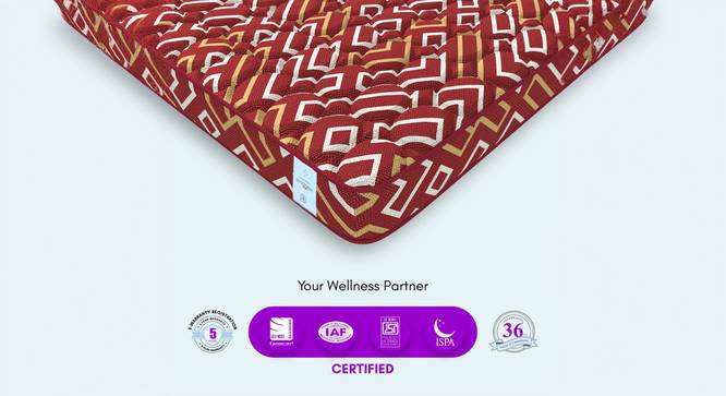 Back Support Orthosense Cocopedic Tech - Single Size - Mattress (8 in Mattress Thickness (in Inches), 78 x 48 in (Standard) Mattress Size, Maroon, Double Mattress Type) by Urban Ladder - - 