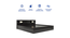 Kumiko Queen Bed Wenge (Wenge Finish, King Bed Size, Box Storage Type) by Urban Ladder - Design 1 Side View - 909504