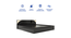 Vida Queen Bed Wenge (Wenge Finish, King Bed Size, Box Storage Type) by Urban Ladder - Cross View Design 1 - 909570