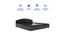 Daiki Queen Bed Wenge (Wenge Finish, King Bed Size, Box Storage Type) by Urban Ladder - Design 1 Side View - 909709
