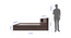 Kaito Queen Bed Wenge (Walnut Finish, King Bed Size, Box Storage Type) by Urban Ladder - Design 1 Close View - 909817