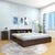 Fvbdst33br32807 1