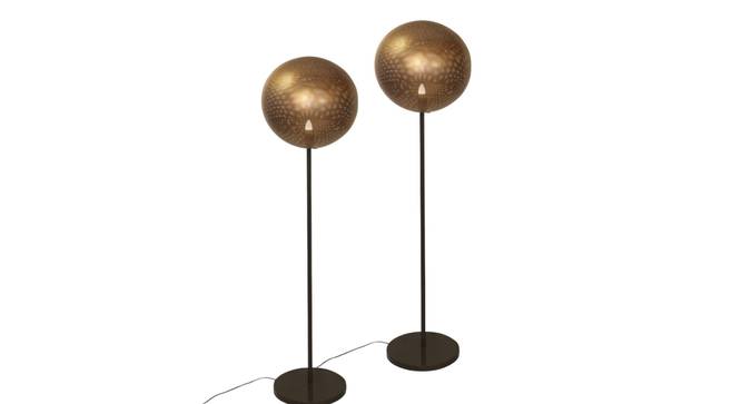 Globe iron floor lamp (Black) by Urban Ladder - - 