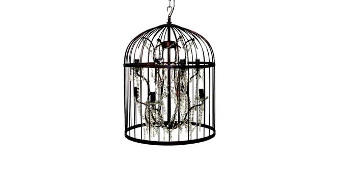 CAGE 8 light Chandelier (Black) by Urban Ladder - - 