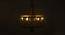 6 light Gold Chandelier (Gold) by Urban Ladder - - 