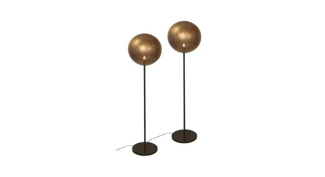 Globe iron floor lamp (Black) by Urban Ladder - - 