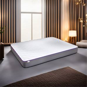 Mattresses Bedding In Junagadh Design Orthopedic Dual Comfort For Back Pain Relief  Single - Size - Mattress (Single Mattress Type, 8 in Mattress Thickness (in Inches), Maroon, 78 x 35 in Mattress Size)