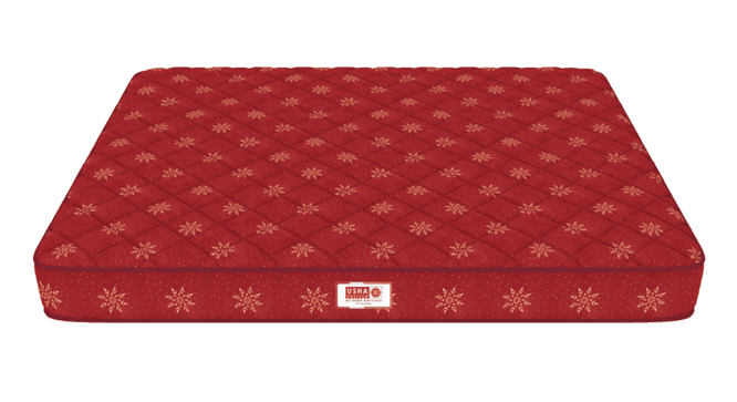 Resteria Golden Fibre Tech - Single Size - Mattress (Single Mattress Type, 8 in Mattress Thickness (in Inches), 72 x 36 in Mattress Size, Maroon) by Urban Ladder - - 