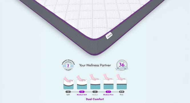 Orthopedic Dual Comfort For Back Pain Relief  Single - Size - Mattress (Queen Mattress Type, 8 in Mattress Thickness (in Inches), Maroon, 75 x 66 in Mattress Size) by Urban Ladder - - 