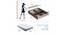 Pollo Engineered Wood Queen Size Storage Bed in Wenge & White Finish (Wenge Finish, Queen Bed Size) by Urban Ladder - - 