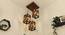 Symmetric Brown Solid Wood Cluster Hanging  Light (Brown) by Urban Ladder - Design 1 Dimension - 916421