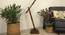 Hydra Beige Jute Floor Lamp with Beige Jute Base (Brown) by Urban Ladder - Design 1 Close View - 916496