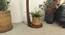 Alice Beige Jute Floor Lamp with Beige Jute Base (Brown) by Urban Ladder - Design 1 Close View - 916632