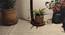 Alice Beige Jute Floor Lamp with Beige Jute Base (Brown) by Urban Ladder - Design 1 Close View - 916654