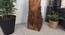 Emanate Beige Floor Lamp with Beige Base (Brown) by Urban Ladder - Rear View Design 1 - 916727