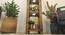 Lighthouse Beige Solid Wood Floor Lamp with Beige Solid Wood Base (Brown) by Urban Ladder - Design 1 Close View - 916731