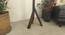 Trinca Beige Jute Floor Lamp with Beige Jute Base (Brown) by Urban Ladder - Design 1 Dimension - 916928
