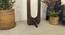 Jasper Beige Jute Floor Lamp with Beige Jute Base (Brown) by Urban Ladder - Design 1 Close View - 916946