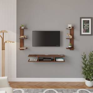 Estoye Mini Engineered Wood TV Unit in Brown Maple Finish-image-39