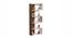 Novebuk Engineered Wood Bookshelf (Brown Maple and Beige Finish) by Urban Ladder - - 