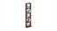 Walten Engineered Wood Bookshelf (Brown Maple Finish) by Urban Ladder - - 