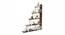 Wolabey Engineered Wood Ladder (Brown Maple and White Finish) by Urban Ladder - - 